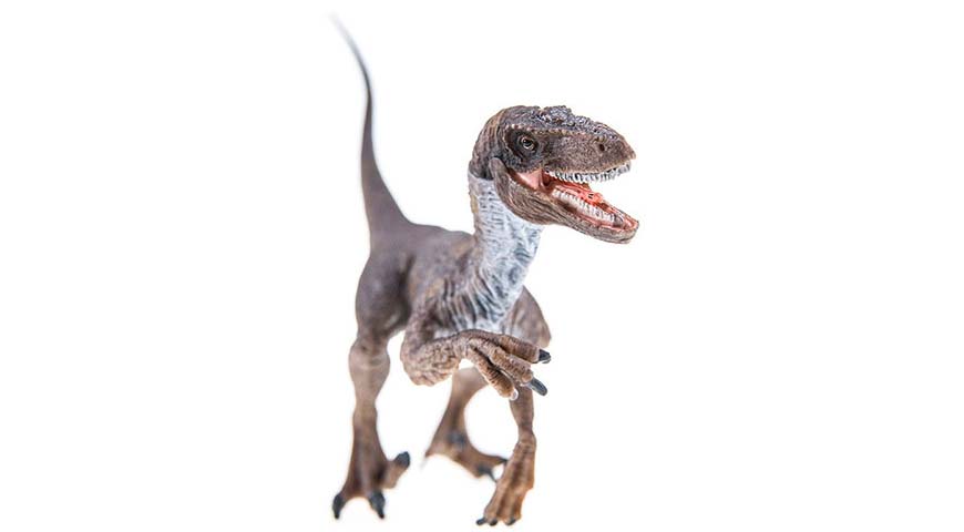 Il Velociraptor