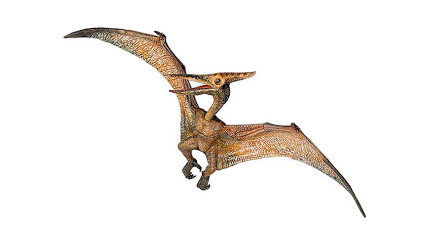 Lo Pterodattilo