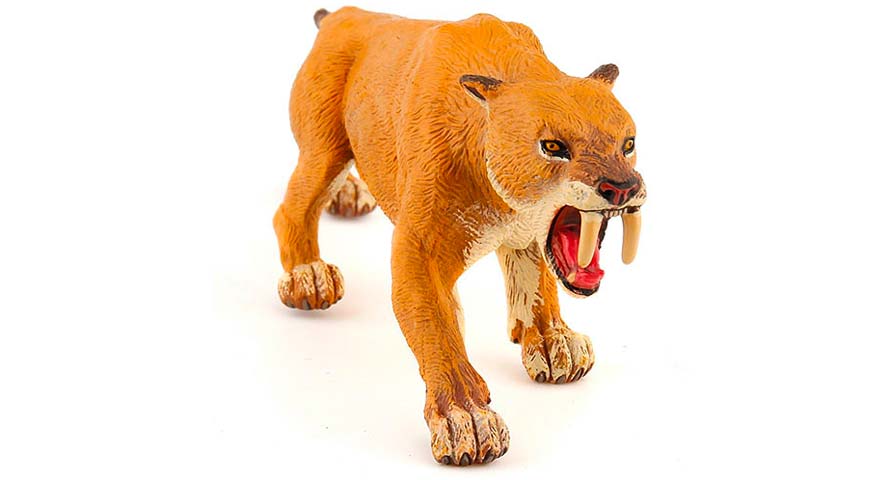 Smilodonte Tigre Dai Denti A Sciabola