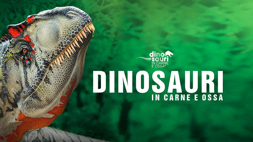 Dinosauri In Carne E Ossa