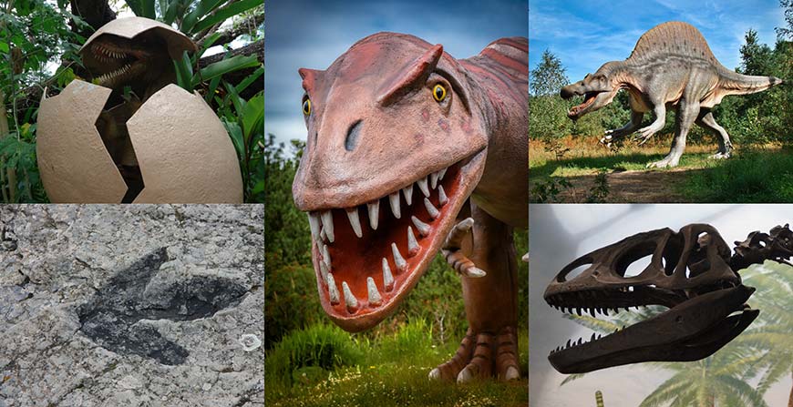 Parco Dei Dinosauri, Borgo Celano – Puglia