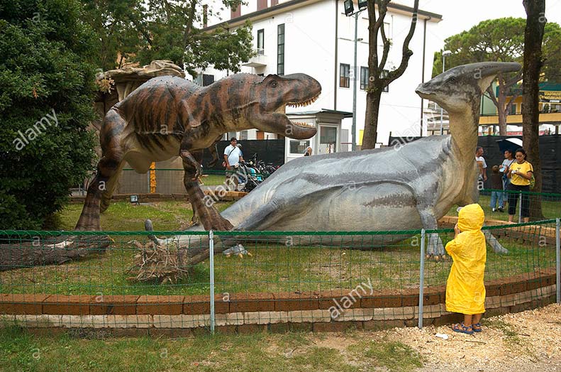 Museo Civico Di Storia Naturale, Jesolo