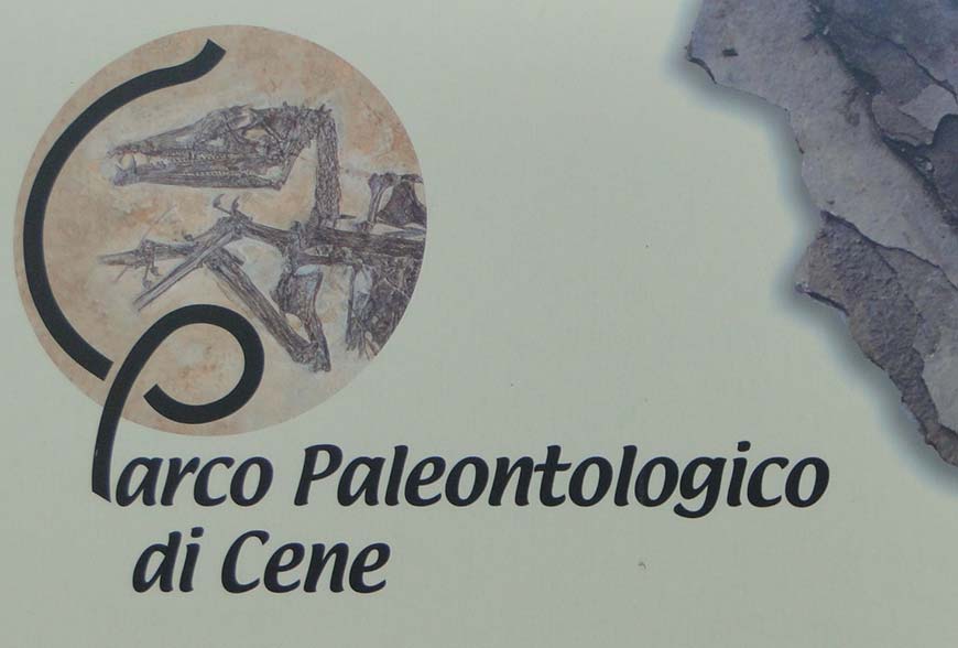 Parco Paleontologico Di Cene