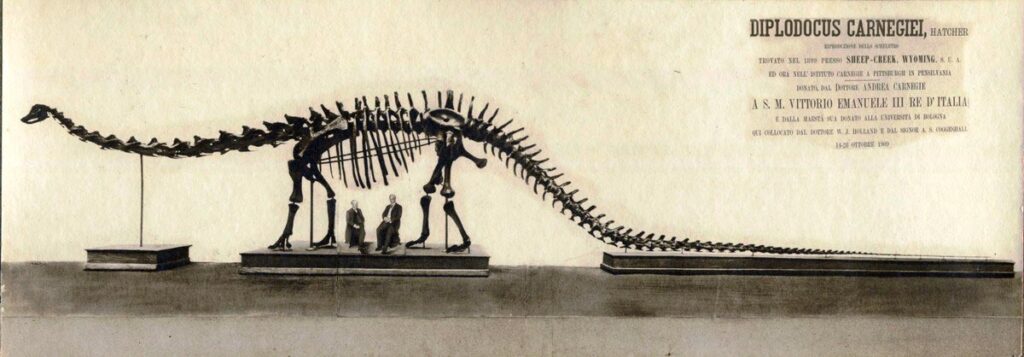 Un Dinosauro Americano A Bologna