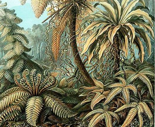 Piante Preistoriche