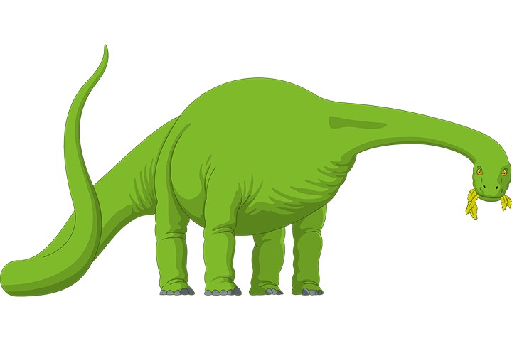 Dinosauri Da Colorare E Stampare