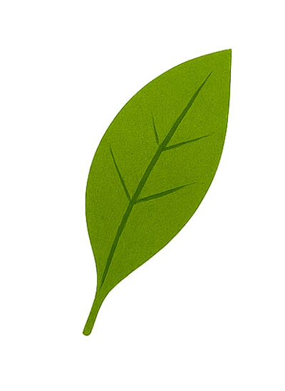 Giochi Dinosauri Passione Enciclopedia Giocattolo