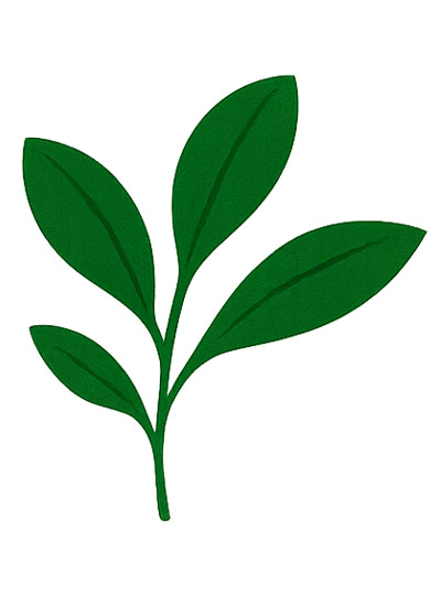 Giochi Dinosauri Passione Libri Eventi